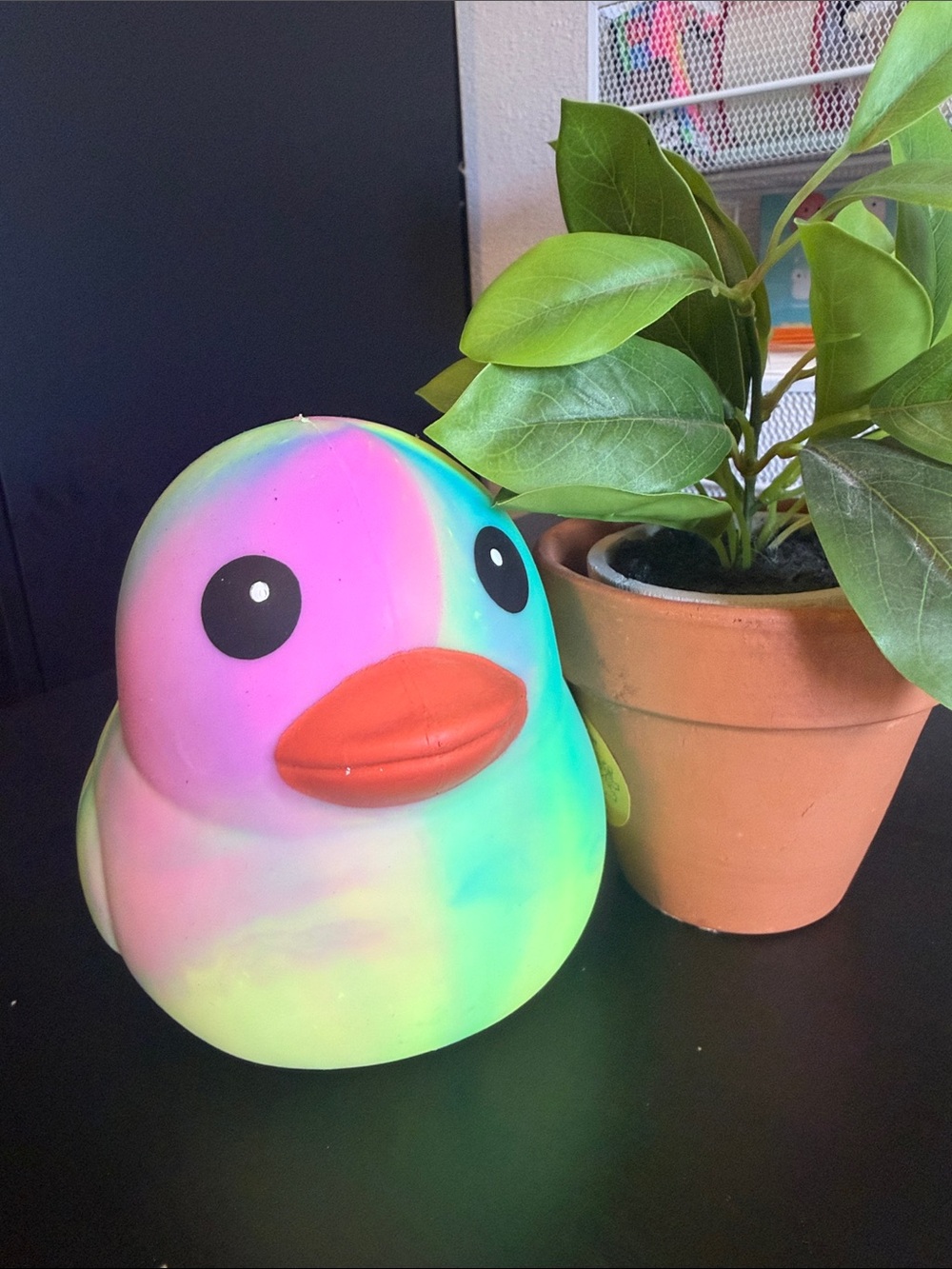 Squeeeze Rainbow Tie-Dye Rubber Duck with Orange Beak Squishy Viral